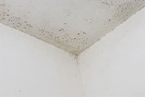 Come riparare una perdita acqua dal soffitto